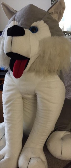 giant husky teddy